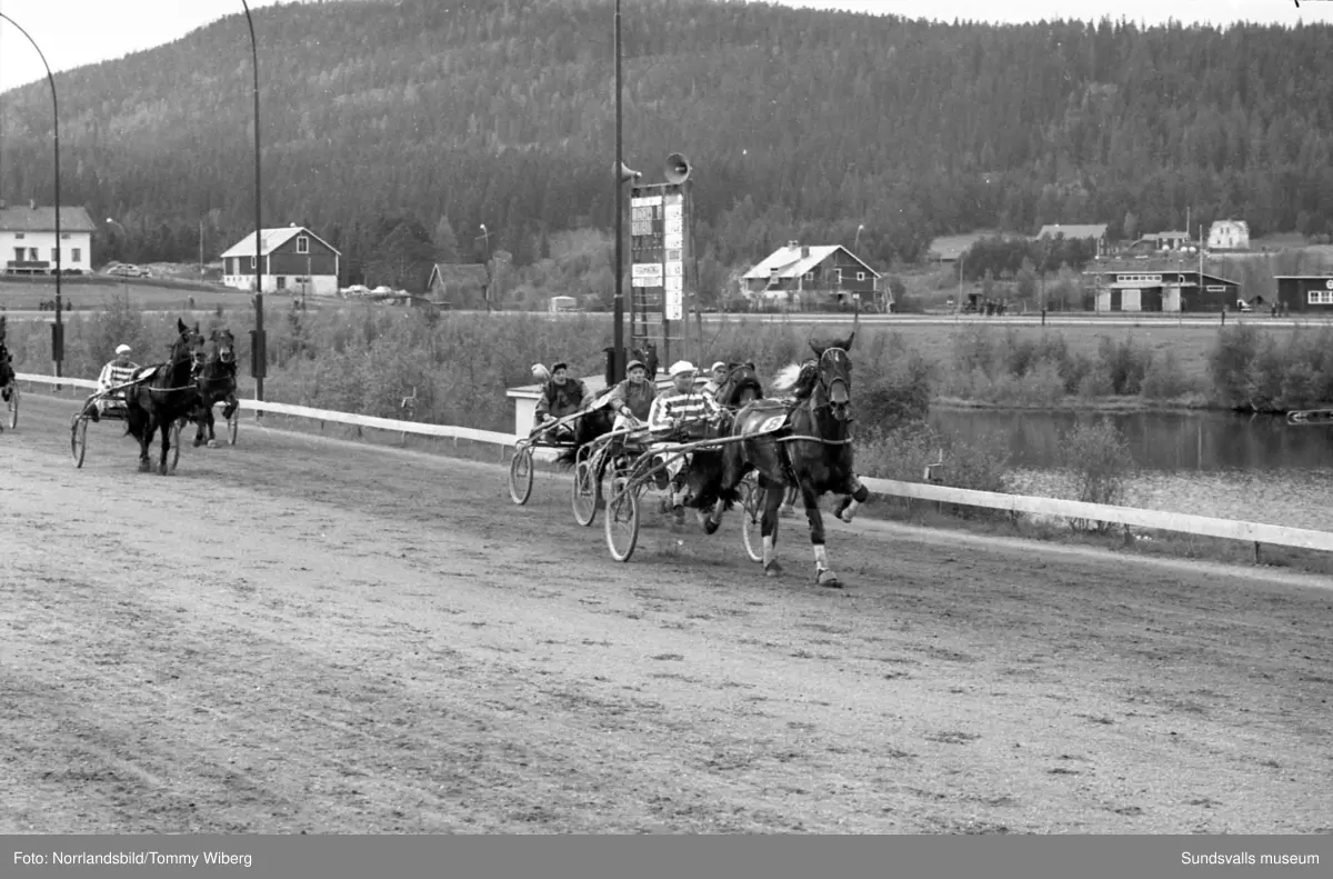 Bilder från en tävlingsdag på Bergsåkers travbana i maj 1960.
