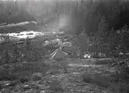 Tältläger i skogen, I21 Västernorrlands Regemente, Sollefteå.