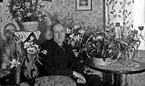 Motiv ur Oscar Färdigs bildsamling