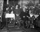 Motiv ur Oscar Färdigs bildsamling