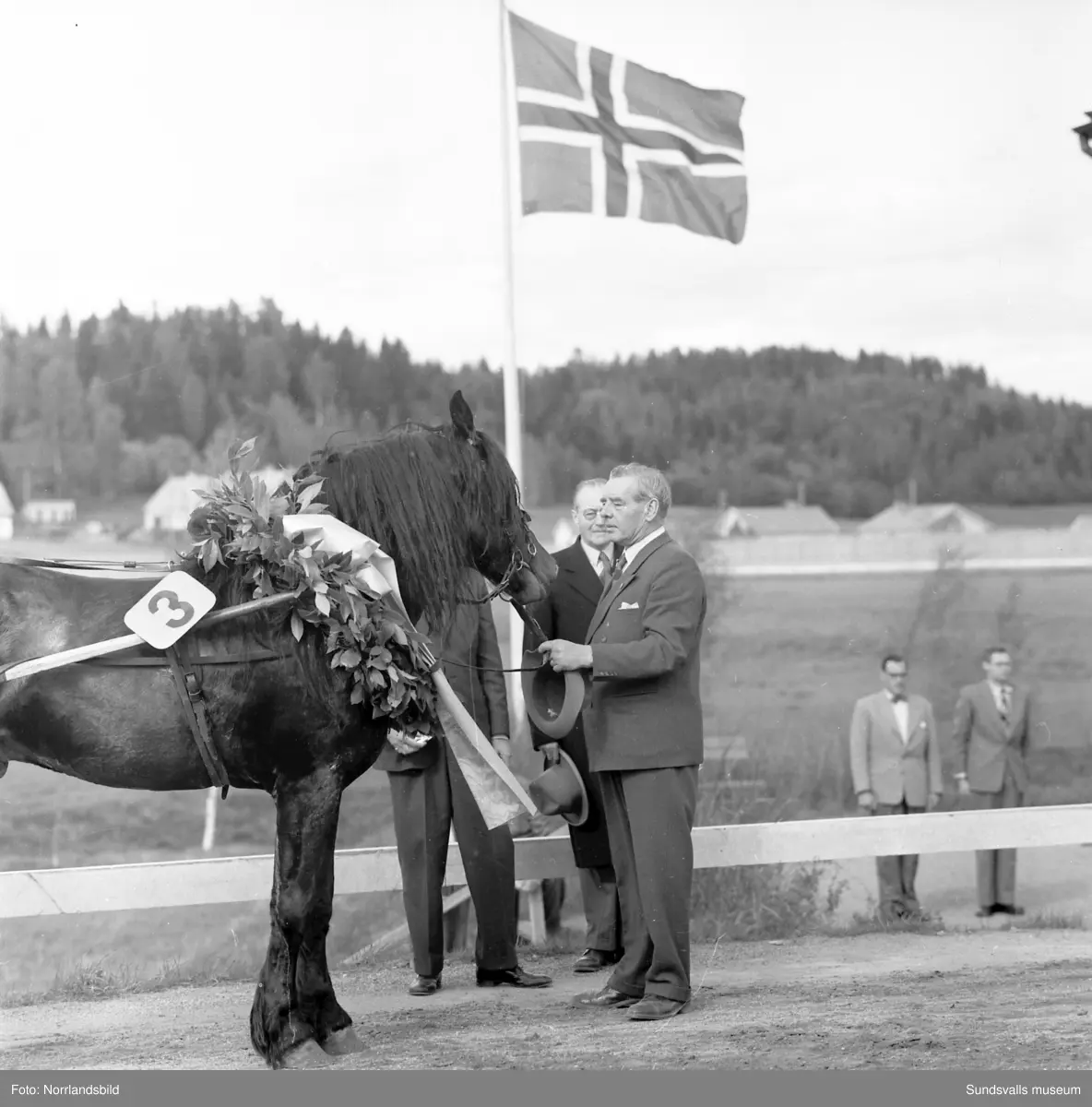 Travtävlingar på Bergsåker med kallblodslandskamp Sverige-Norge.
Bild 1 & 2: Steggbest och Eilif Schou hyllas efter segern av Norska Travsällskapets ordförande Karl Henriksen och Bergsåkers ordförande Gösta Bergengren. 
Bild 3: Steggbest i ledningen med Gilldor utvändigt och Urdsönn i rygg.
Bild 4: Bland andra Karl Henriksen, Gösta Bergengren och Christian Günther.
Bild 5: Från innerspår Steggbest, Gilldor (7), Urdsönn (2) och Stolt (9).
Bild 6: Grans Terna, Urdsönn, Steggbest, Spikla, Gilldor, Runsy, Stolt och Bessan defilerar.