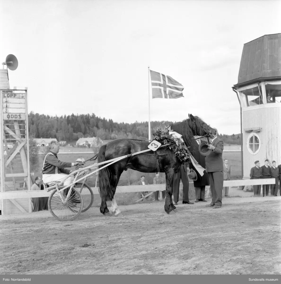 Travtävlingar på Bergsåker med kallblodslandskamp Sverige-Norge.
Bild 1 & 2: Steggbest och Eilif Schou hyllas efter segern av Norska Travsällskapets ordförande Karl Henriksen och Bergsåkers ordförande Gösta Bergengren. 
Bild 3: Steggbest i ledningen med Gilldor utvändigt och Urdsönn i rygg.
Bild 4: Bland andra Karl Henriksen, Gösta Bergengren och Christian Günther.
Bild 5: Från innerspår Steggbest, Gilldor (7), Urdsönn (2) och Stolt (9).
Bild 6: Grans Terna, Urdsönn, Steggbest, Spikla, Gilldor, Runsy, Stolt och Bessan defilerar.