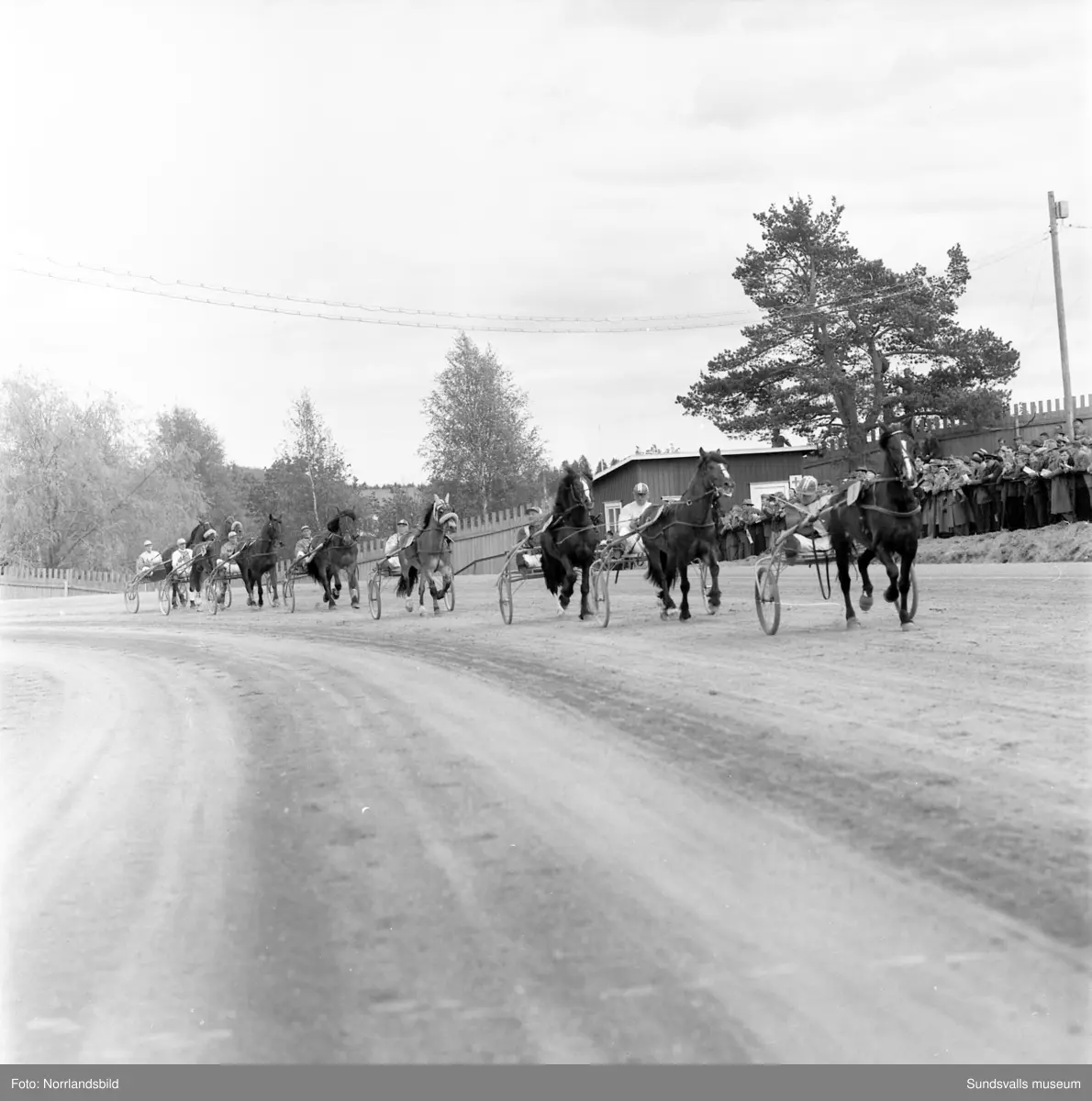 Travtävlingar på Bergsåker med kallblodslandskamp Sverige-Norge.
Bild 1 & 2: Steggbest och Eilif Schou hyllas efter segern av Norska Travsällskapets ordförande Karl Henriksen och Bergsåkers ordförande Gösta Bergengren. 
Bild 3: Steggbest i ledningen med Gilldor utvändigt och Urdsönn i rygg.
Bild 4: Bland andra Karl Henriksen, Gösta Bergengren och Christian Günther.
Bild 5: Från innerspår Steggbest, Gilldor (7), Urdsönn (2) och Stolt (9).
Bild 6: Grans Terna, Urdsönn, Steggbest, Spikla, Gilldor, Runsy, Stolt och Bessan defilerar.