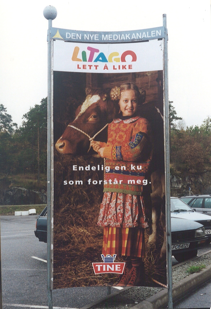 Board, Tine, jente med ku, på parkeringsplassen ved ICA i Grimstad.