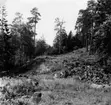 Västra Tunhem sn, Halleberg, Fornborgen