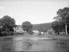 Björkås