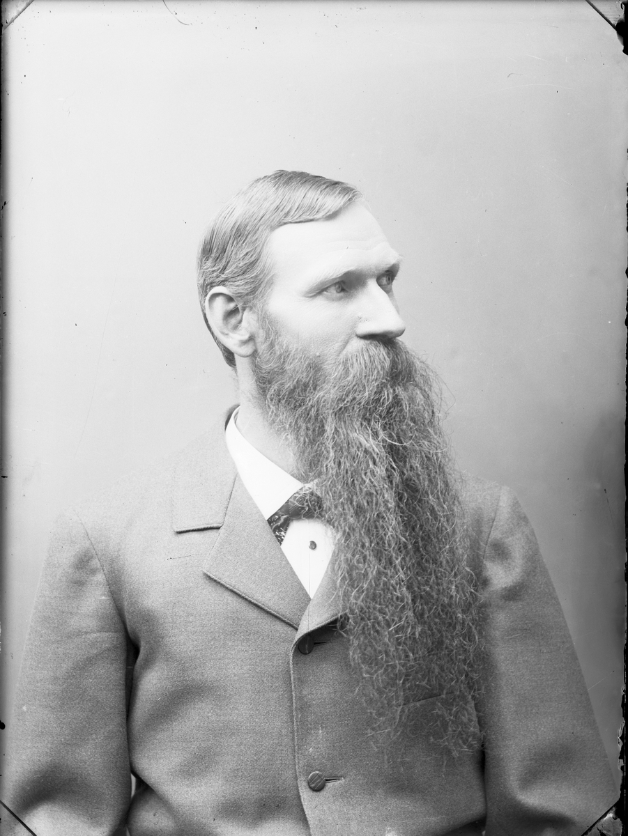 Vikner, Karl Gustaf (1855 - 1926)