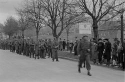 Høgskoleveien foran Gløshaugen, Polititropper paraderer i ga