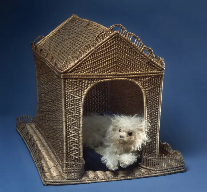 Maltese dog with kennel 1855 KulturPunkt