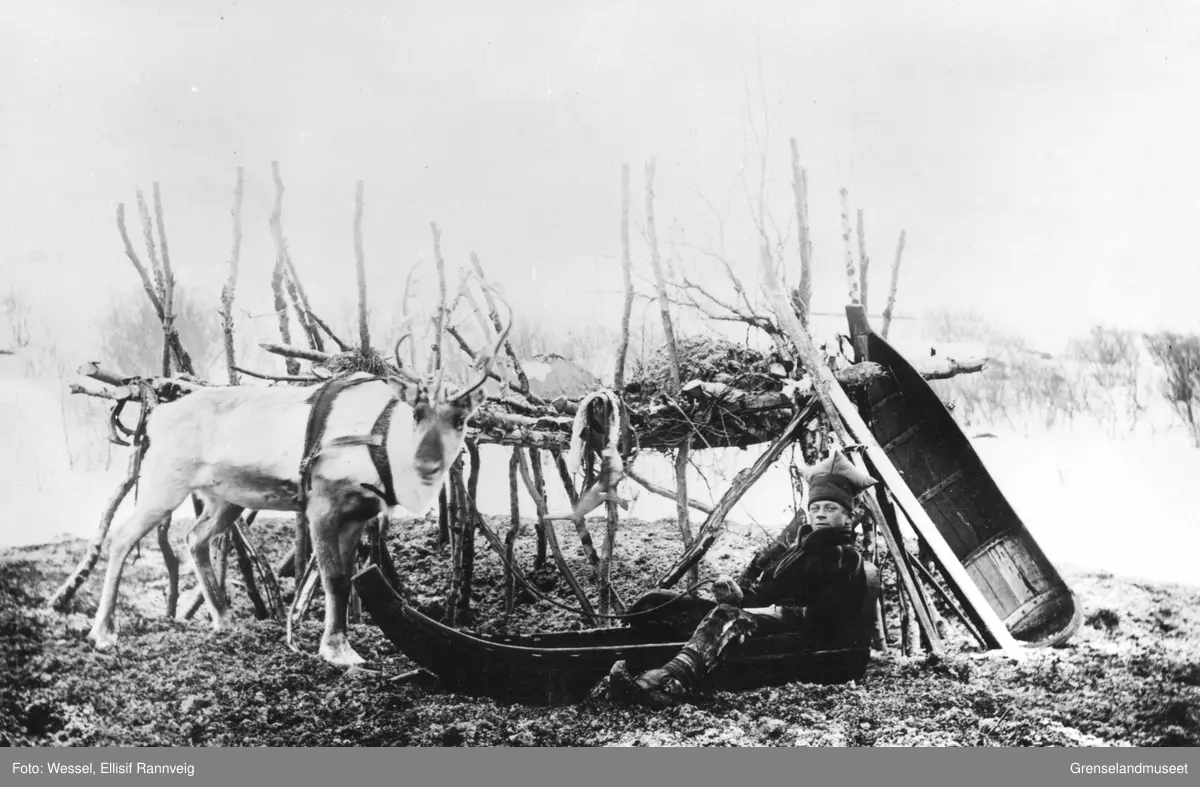 Ole Johnsen Must med sin kjørerein og pulk ved mosekraken på Solheim, vinteren 1896