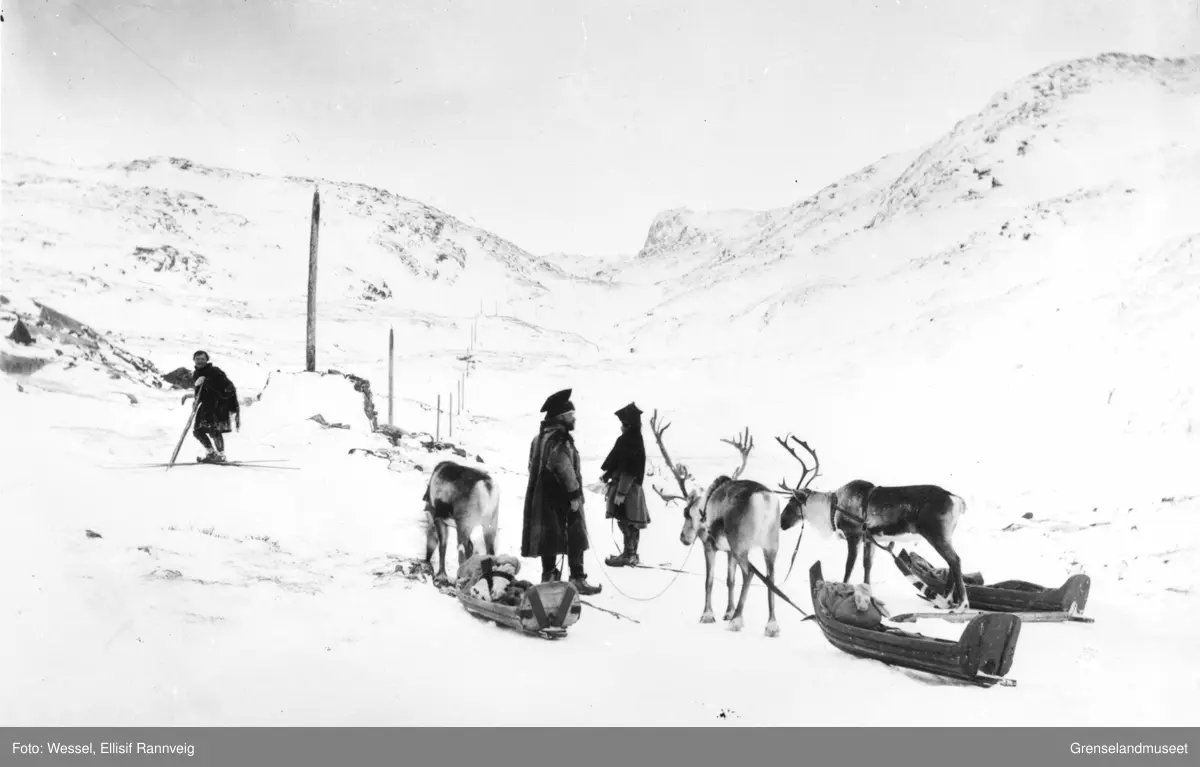 Doktorskyss med pulk og rein over fjellene mellom Bugøyfjord og Bugøynes. Dr. Wessel i midten.