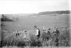 Karin och Gösta plockar bär med vänner, Uppsala-Näs socken, 