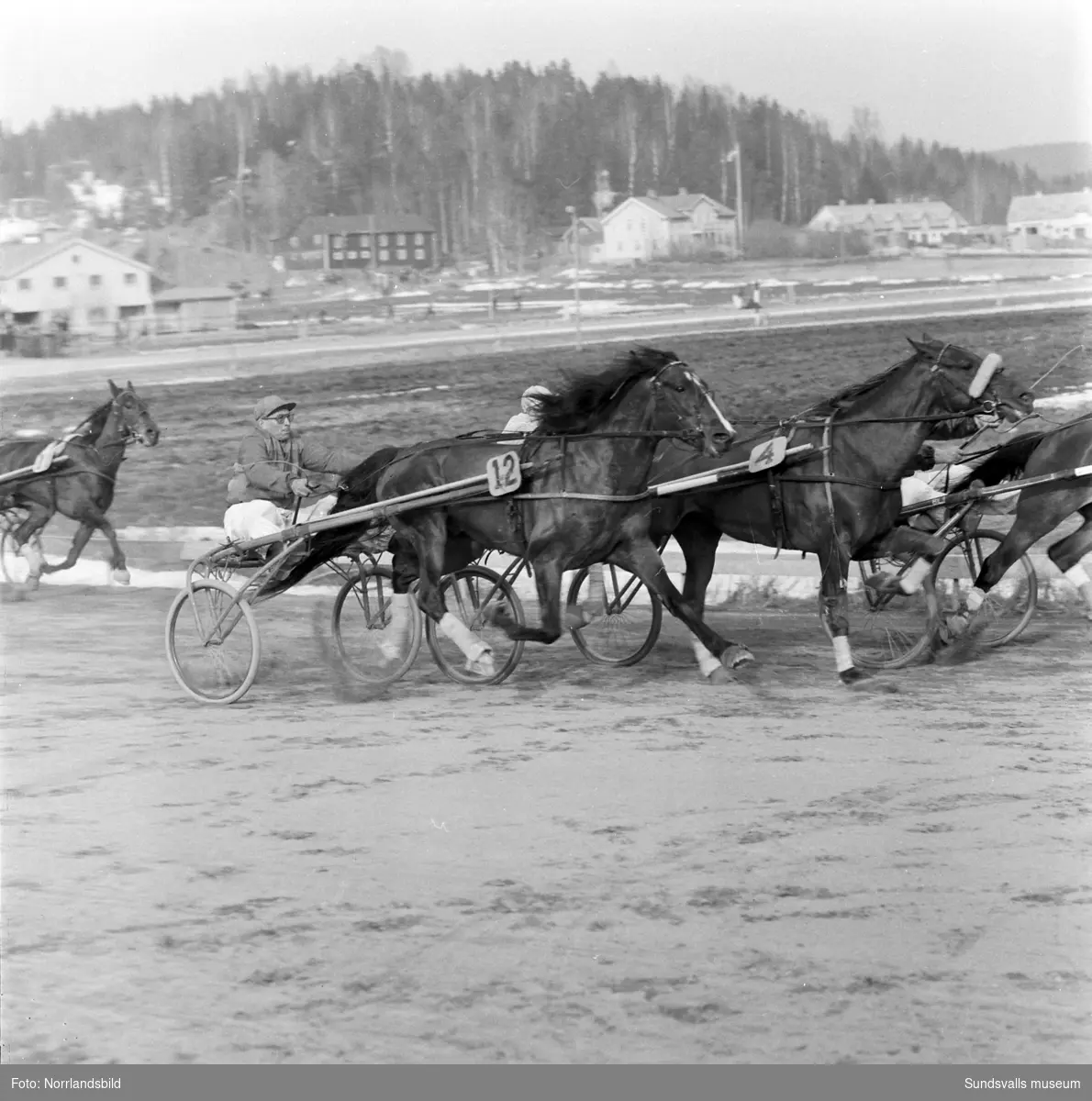 Tävlingsdag på Bergsåkers travbana. På bild 1 leder Mac Happy i slutkurvan med Sir Cecil & Valter Viklund på sin utsida och blivande vinnaren Denit & E.S. Andersson i tredjespår.
På bild 2 vinner innerspårets Snajder & Helge Frelin medan utvändige Stjärnjack & Tore Andersson diskvalificerades och bakom ser vi måltvåan Reminpia & Sven Helsing.
Myrglans & Per Larsson (bild 3) och Denit & E.S. Andersson (bild 4).