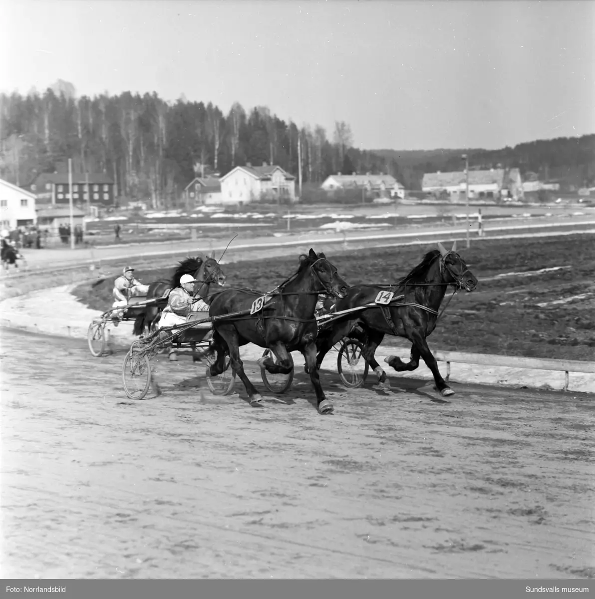 Tävlingsdag på Bergsåkers travbana. På bild 1 leder Mac Happy i slutkurvan med Sir Cecil & Valter Viklund på sin utsida och blivande vinnaren Denit & E.S. Andersson i tredjespår.
På bild 2 vinner innerspårets Snajder & Helge Frelin medan utvändige Stjärnjack & Tore Andersson diskvalificerades och bakom ser vi måltvåan Reminpia & Sven Helsing.
Myrglans & Per Larsson (bild 3) och Denit & E.S. Andersson (bild 4).