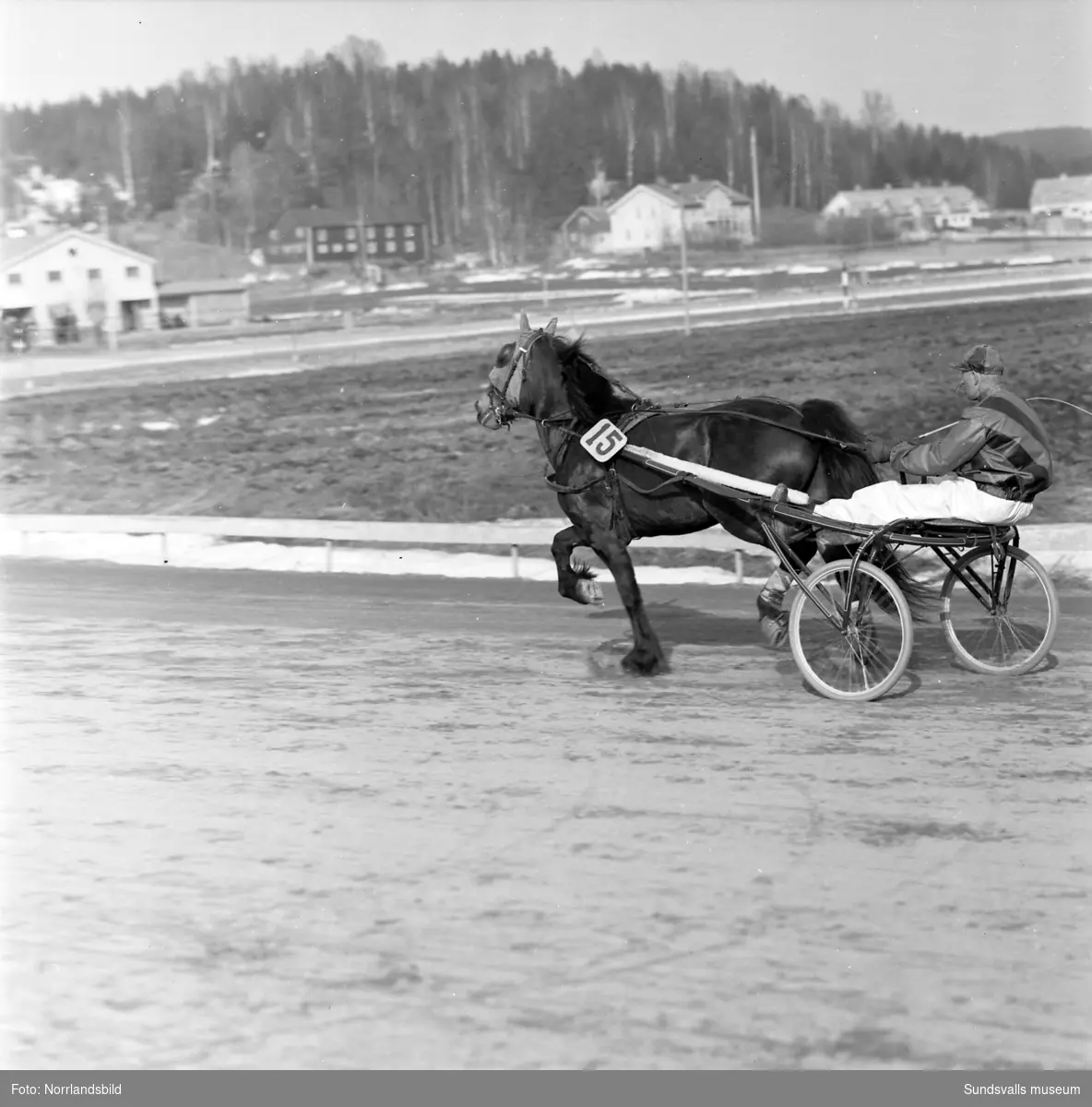 Tävlingsdag på Bergsåkers travbana. På bild 1 leder Mac Happy i slutkurvan med Sir Cecil & Valter Viklund på sin utsida och blivande vinnaren Denit & E.S. Andersson i tredjespår.
På bild 2 vinner innerspårets Snajder & Helge Frelin medan utvändige Stjärnjack & Tore Andersson diskvalificerades och bakom ser vi måltvåan Reminpia & Sven Helsing.
Myrglans & Per Larsson (bild 3) och Denit & E.S. Andersson (bild 4).