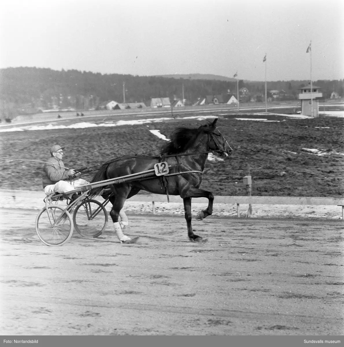 Tävlingsdag på Bergsåkers travbana. På bild 1 leder Mac Happy i slutkurvan med Sir Cecil & Valter Viklund på sin utsida och blivande vinnaren Denit & E.S. Andersson i tredjespår.
På bild 2 vinner innerspårets Snajder & Helge Frelin medan utvändige Stjärnjack & Tore Andersson diskvalificerades och bakom ser vi måltvåan Reminpia & Sven Helsing.
Myrglans & Per Larsson (bild 3) och Denit & E.S. Andersson (bild 4).