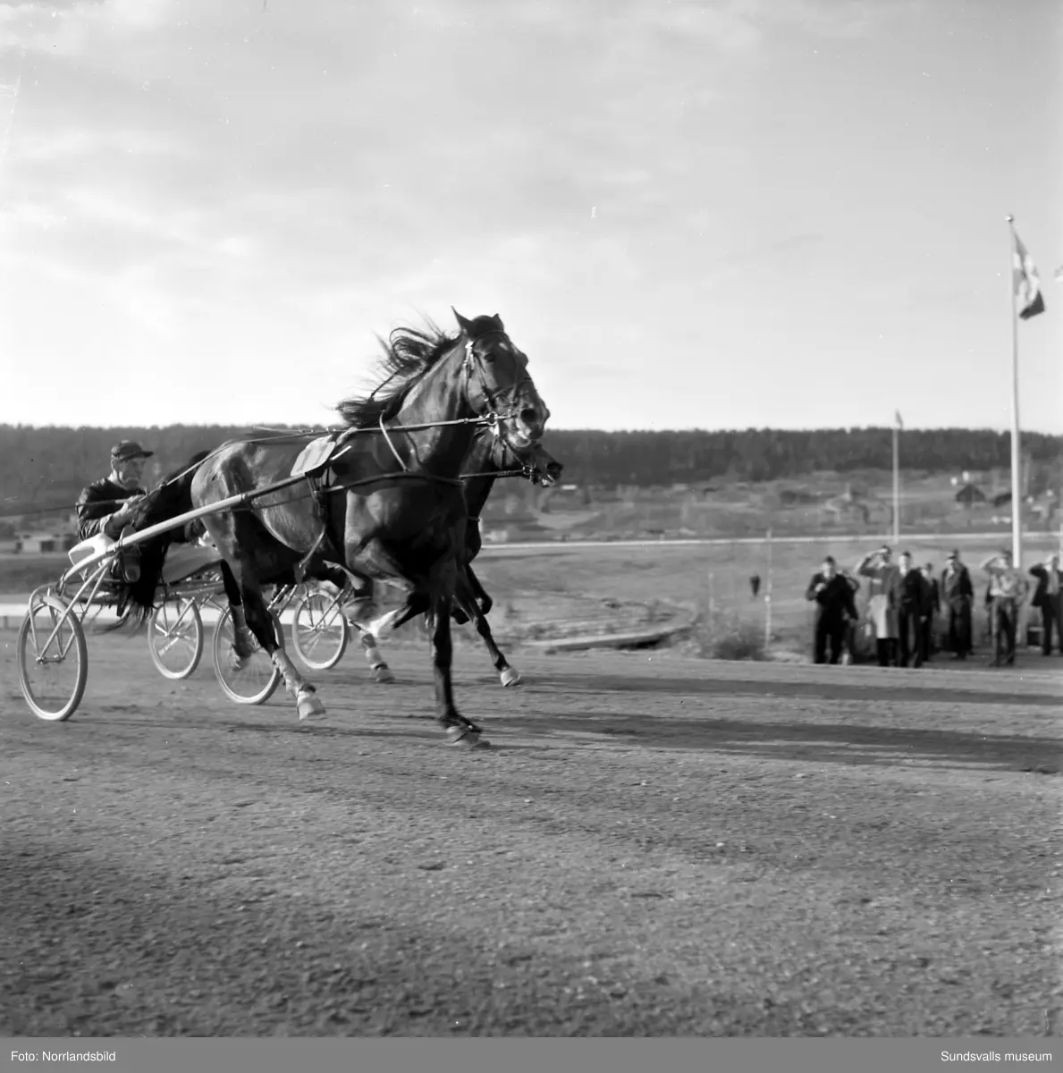 Bergsåkerstravets stora vårtävlingar. Bild 1: Reimer/E.S. Andersson vinner före Bisse & E.G. Andersson. 
Bild 2: Dackemön/Kalle Svensson. 
Bild 3: Rappson/Sören Nordin som vann Bergsåkers Stora Heatlopp. Ägaren, direktör Albin Rapp, tar emot priser. 
Bild 4-5: Elsa Bulwark och Rappson. 
Bild 6: Clipper/Fritz Ekbäck leder före Mr Peter/Arne Holmström. 
Bild 7: Till vänster Denia/Agge Engblom, till höger Lawrence/Arne Holmström.
Bild 8: Clipper/Fritz Ekbäck leder före Mr Peter/Arne Holmström.