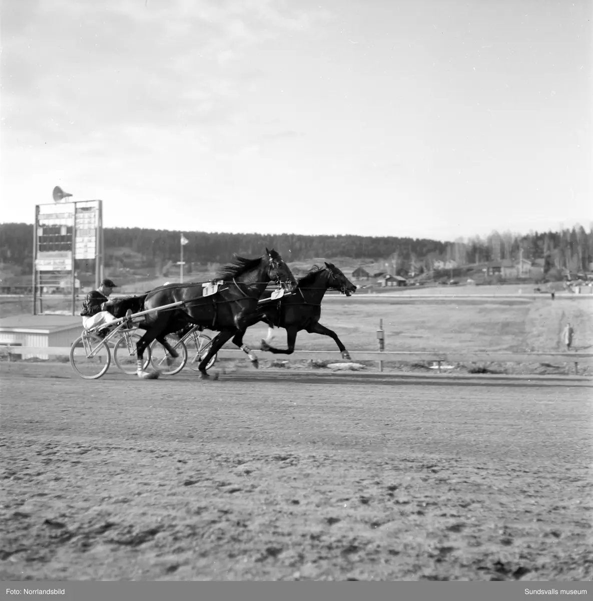 Bergsåkerstravets stora vårtävlingar. Bild 1: Reimer/E.S. Andersson vinner före Bisse & E.G. Andersson. 
Bild 2: Dackemön/Kalle Svensson. 
Bild 3: Rappson/Sören Nordin som vann Bergsåkers Stora Heatlopp. Ägaren, direktör Albin Rapp, tar emot priser. 
Bild 4-5: Elsa Bulwark och Rappson. 
Bild 6: Clipper/Fritz Ekbäck leder före Mr Peter/Arne Holmström. 
Bild 7: Till vänster Denia/Agge Engblom, till höger Lawrence/Arne Holmström.
Bild 8: Clipper/Fritz Ekbäck leder före Mr Peter/Arne Holmström.