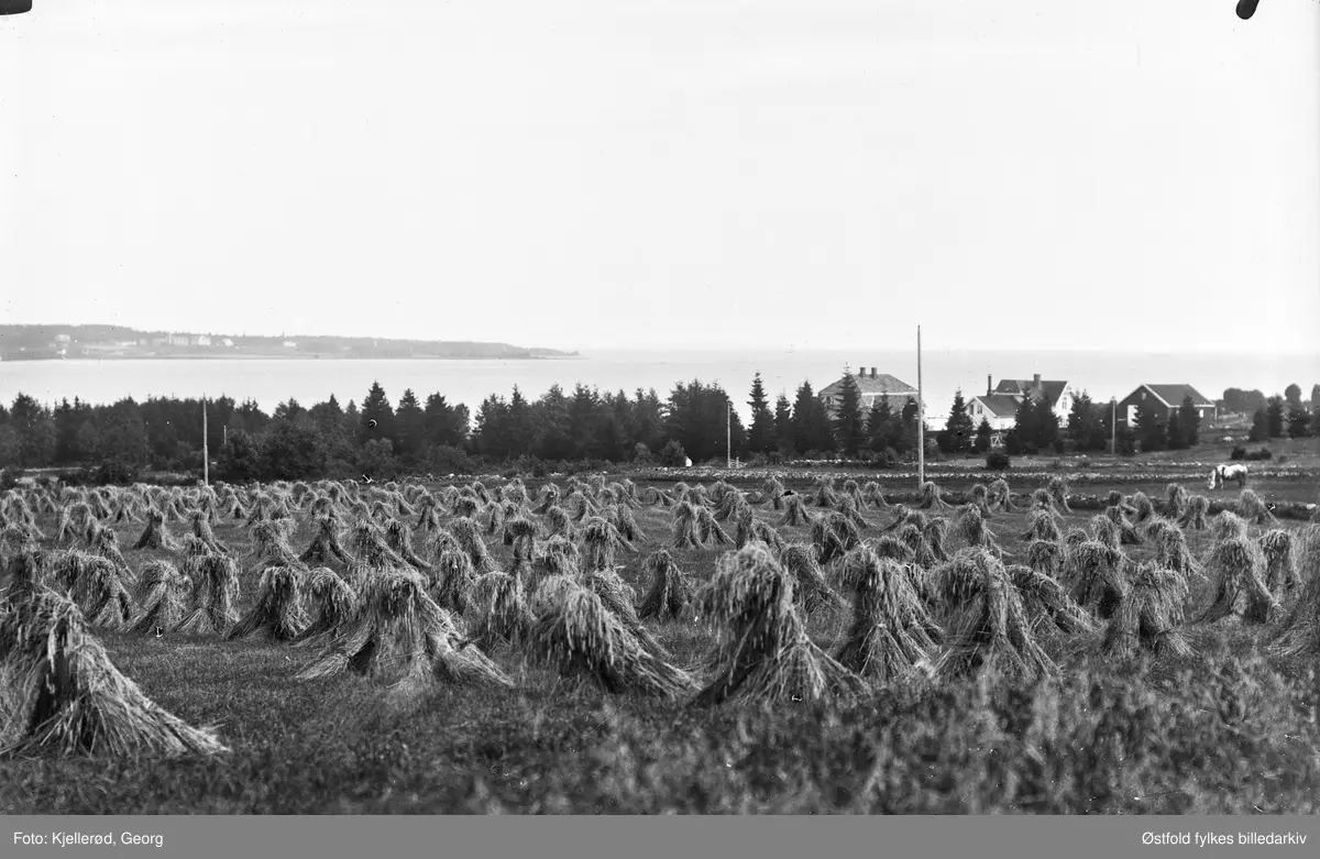 Bastøya sett fra Horten. Trolig er det tatt i området Steinsnes Tveiten d.v.s. syd I Horten.