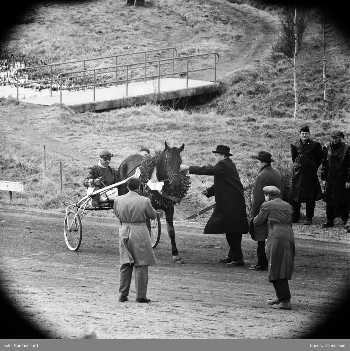 Vårtävlingar på Bergsåkers travbana 1957. Lagerkrans blev det  för vinnarekipaget Märta Rappson & Sören Nordin.