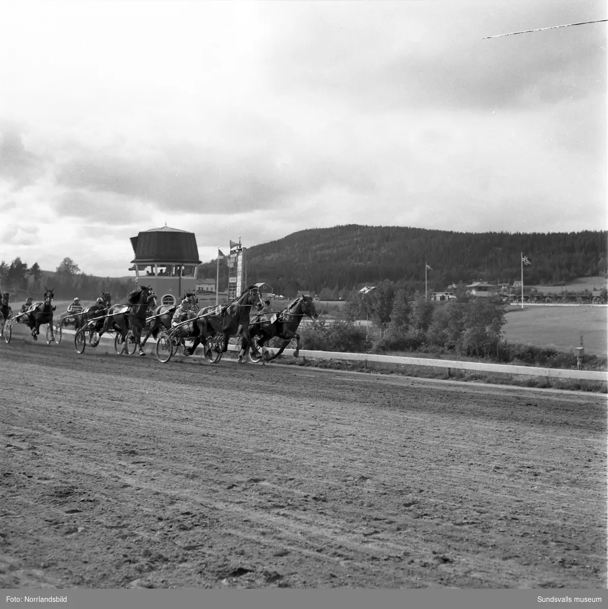 Svensk-Norska Kallblodslandskampen på Bergsåkerstravet 1959. Defileringen inleddes med förridare från Sundsvalls Ridklubb.