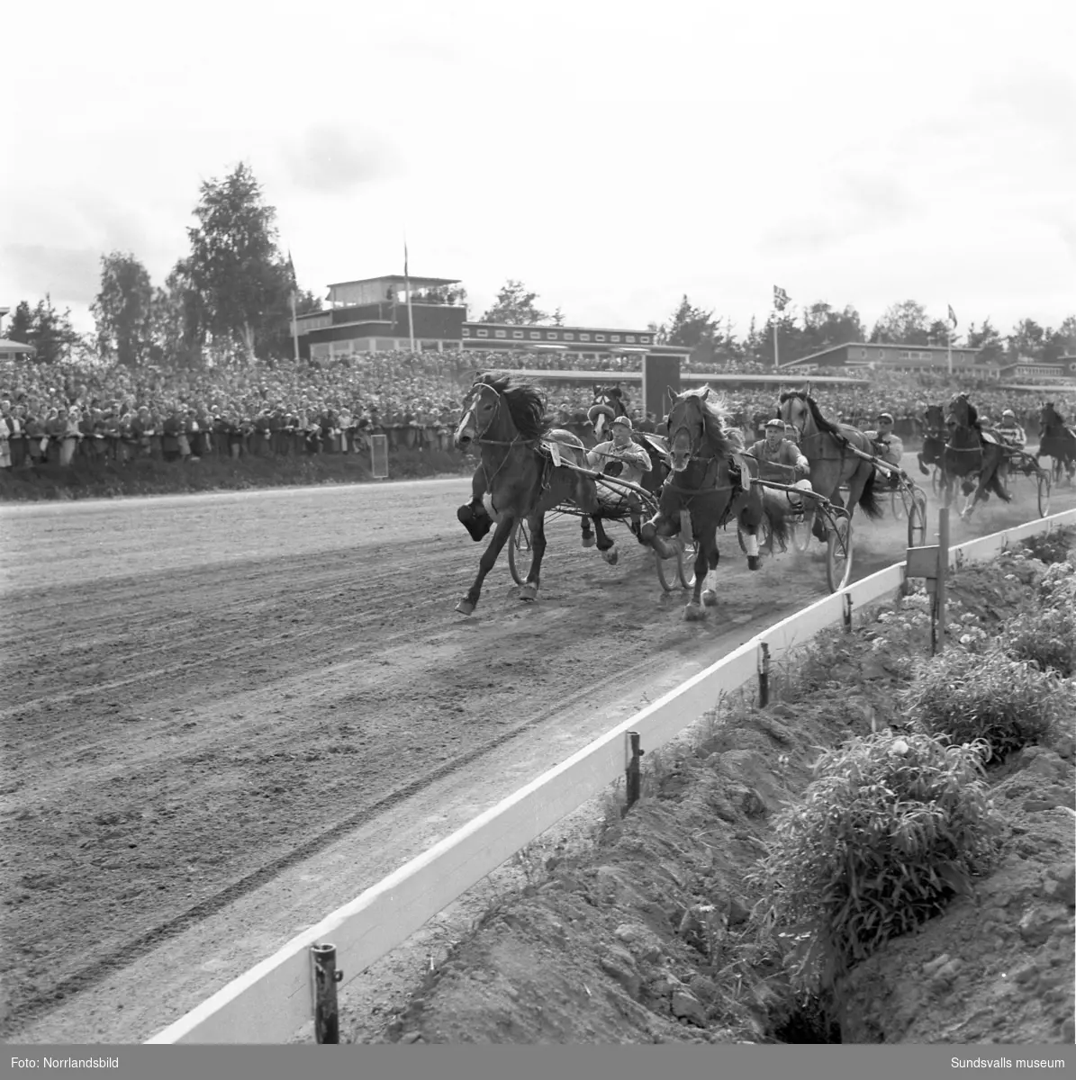 Svensk-Norska Kallblodslandskampen på Bergsåkerstravet 1959. Defileringen inleddes med förridare från Sundsvalls Ridklubb.