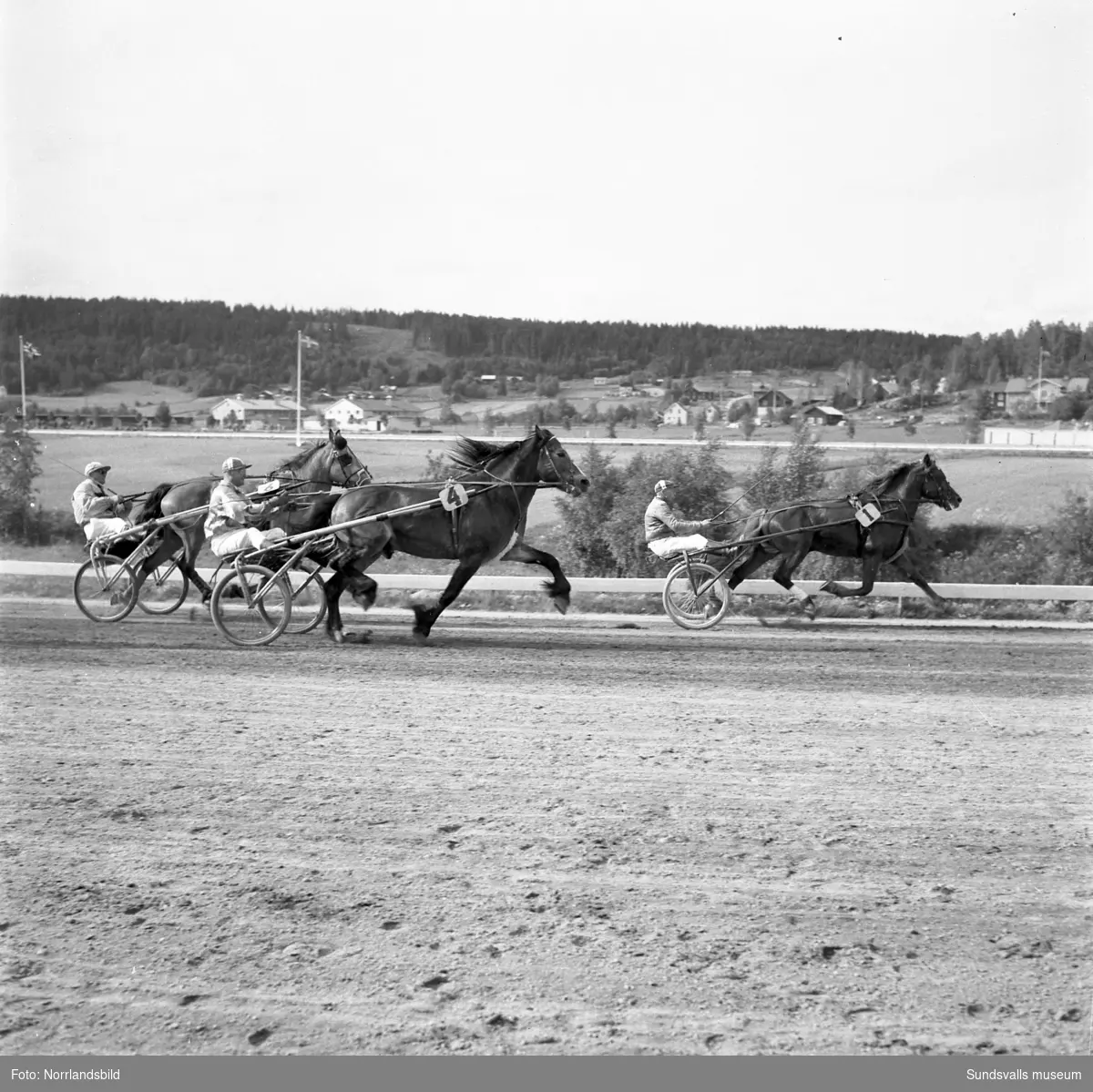 Svensk-Norska Kallblodslandskampen på Bergsåkerstravet 1959. Defileringen inleddes med förridare från Sundsvalls Ridklubb.