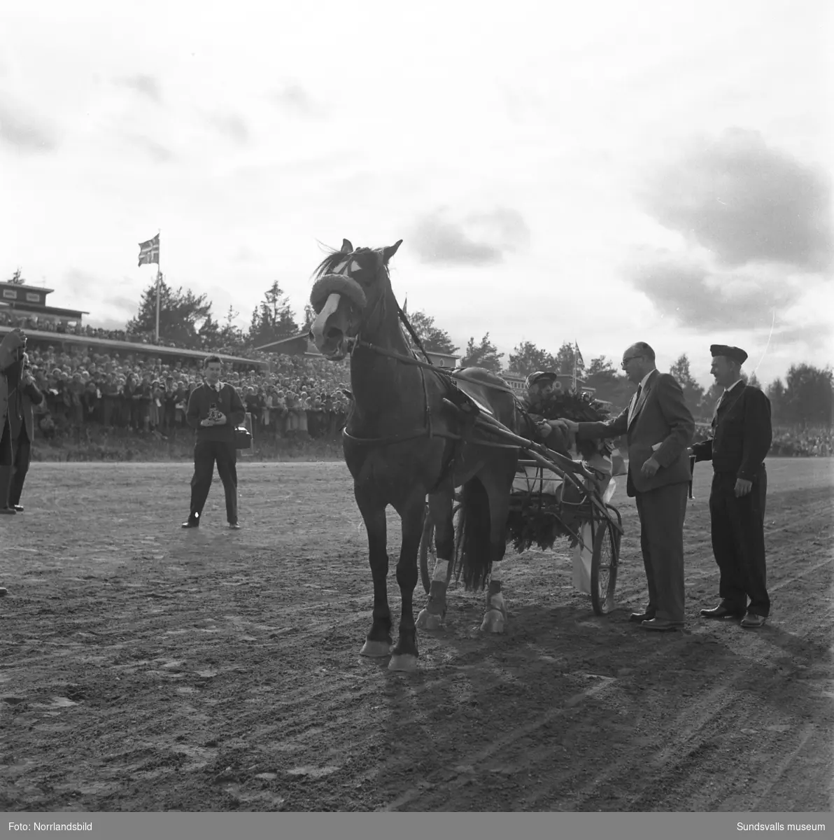 Svensk-Norska Kallblodslandskampen på Bergsåkerstravet 1959. Defileringen inleddes med förridare från Sundsvalls Ridklubb.