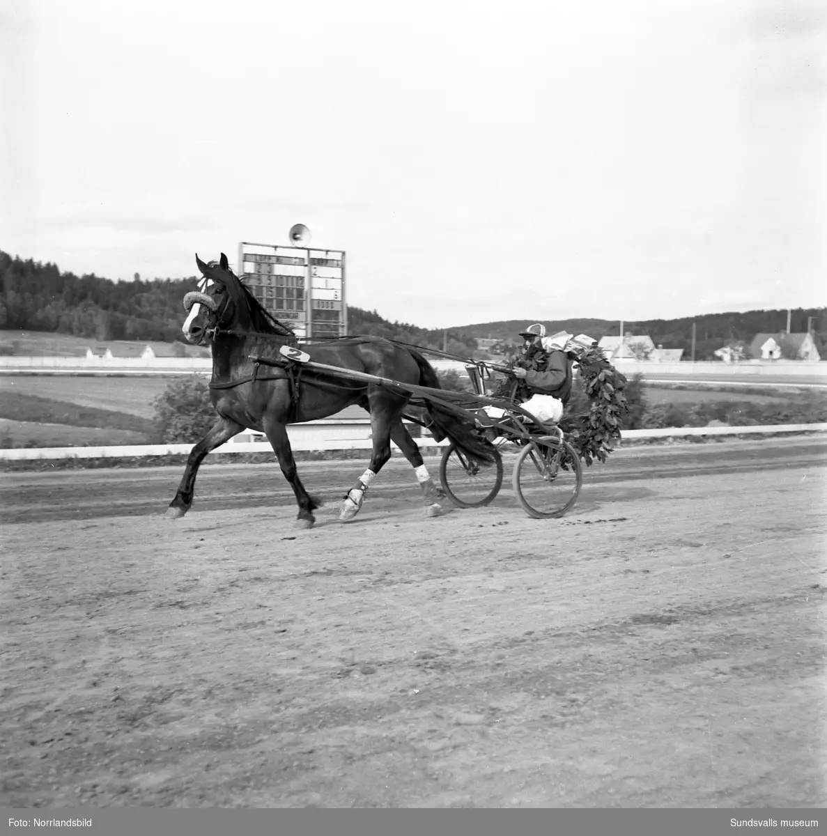 Svensk-Norska Kallblodslandskampen på Bergsåkerstravet 1959. Defileringen inleddes med förridare från Sundsvalls Ridklubb.