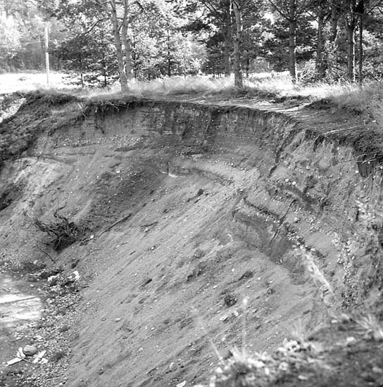 Gravfält.