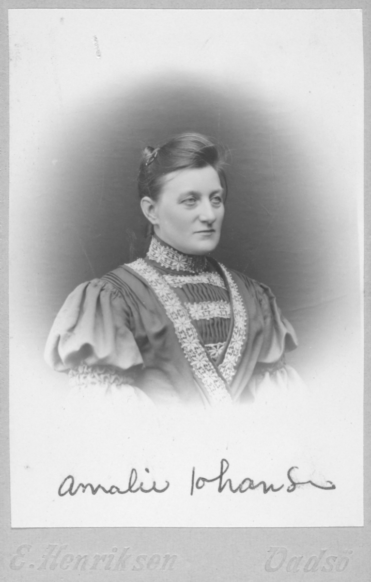 Portrett av en eldre kvinne, Amalie Johansen, født 16.12.1860 i Vadsø. Hun er kledd i en vakker bluse eller kjole med påsydde blondebånd i halsen og på brystet. Håret er oppsatt og hun har en spenne eller hårkam i håret. Portrettet er tatt av E. Henriksen i Vadsø.

Trond Ballo forteller om Amalie: "Amalie Johansen var født Dahl etter sine foreldrene;  Per Dahl og Karen Johnsen. Per Dahl var fra Stjørdal og Karen Johnsen fra Rørostraktene. Amalie hadde 6 søsken. Hun giftet seg med Petter Kristian Lovert Johannessen i 1884. Lovise Amalie tilbragte alle sin leveår i Vadsø. Hun engasjerte seg sterkt i Sanitetsforeningen, og var i mange år medlem av foreningens styre. Hennes barn holdt sterkt sterkt av sin mor og hver kveld gikk de hjem for å fortelle foreldrene hvordan dagen hadde vært. Lovise var et meget rytmiskt og musikalsk menneske. Amalie og Petter Kristian Lovert Johannessen fikk blant annet sønnen Einar Johannessen som startet med eget agentur i Vadsø;  Einar Johannessen & Sønn."