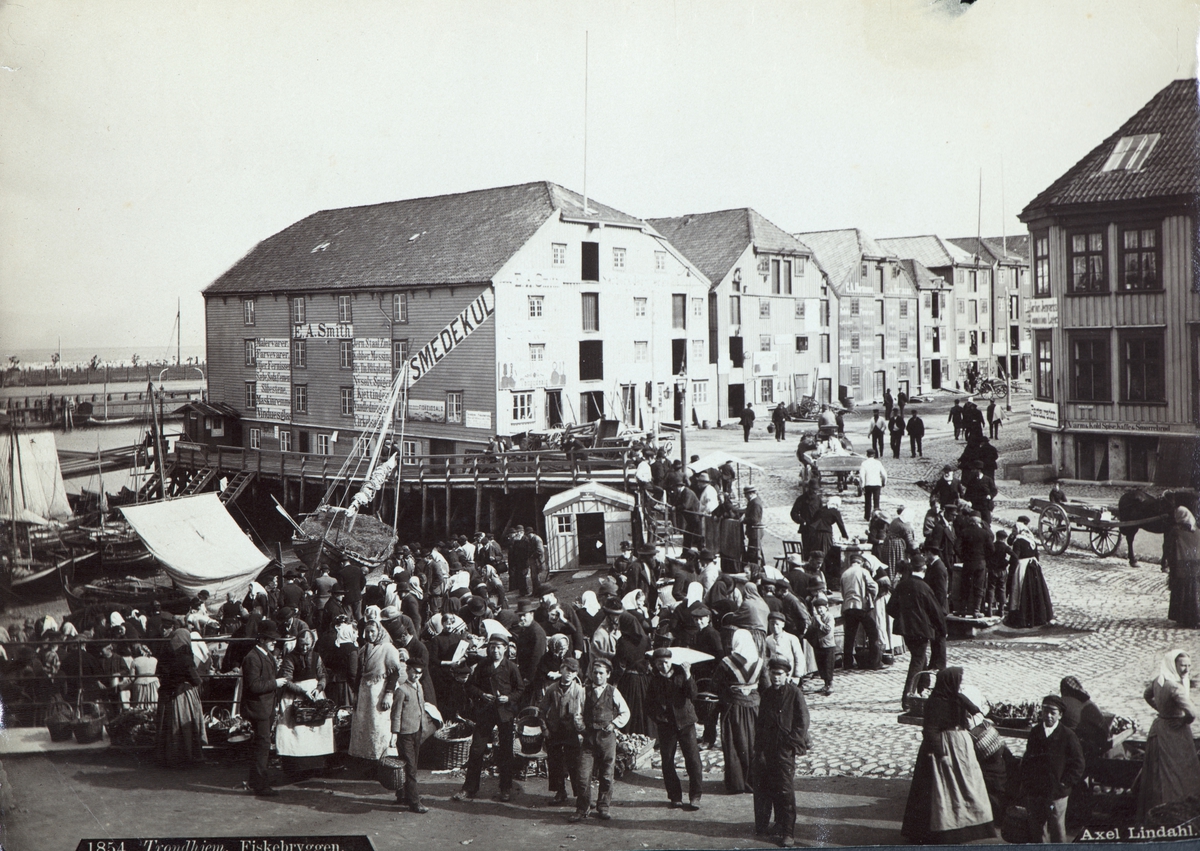 Trondheim. (Motivnr 1854). Trondhjem, Fiskebryggen. Fjordgata. Bildet fra 1880-1890(NBs protokoll). Oversiktbilde over Ravnkloa med bryggene i Fjordgata i bakgrunnen. Bildet er tatt fra land mot nord-øst, en folkemengde er samlet foran på selve vrimleområdet.