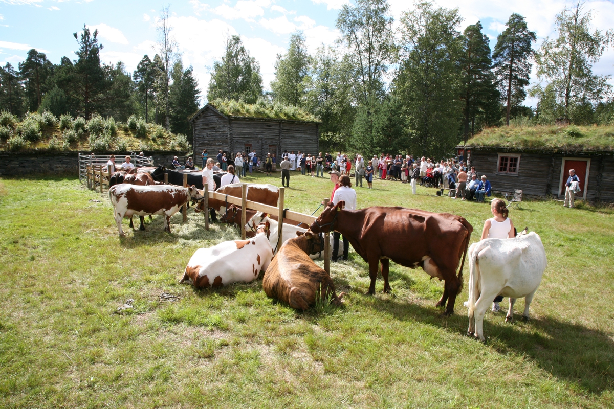 Seterdagen,Glomdalsmuseet 2010