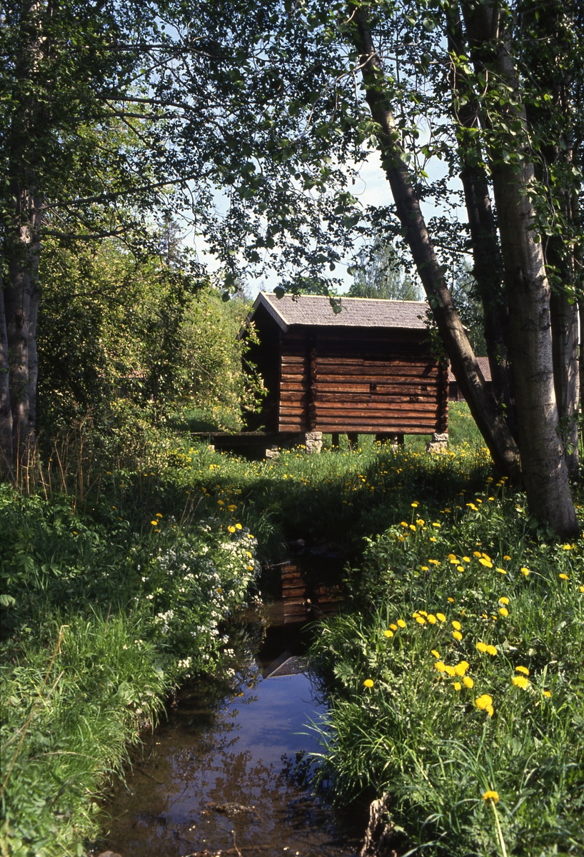 Bjørnsrudkverna fra Lismarka. Kvernhus, bekk, blomster, Hedmarksmuseet, Domkirkeodden.