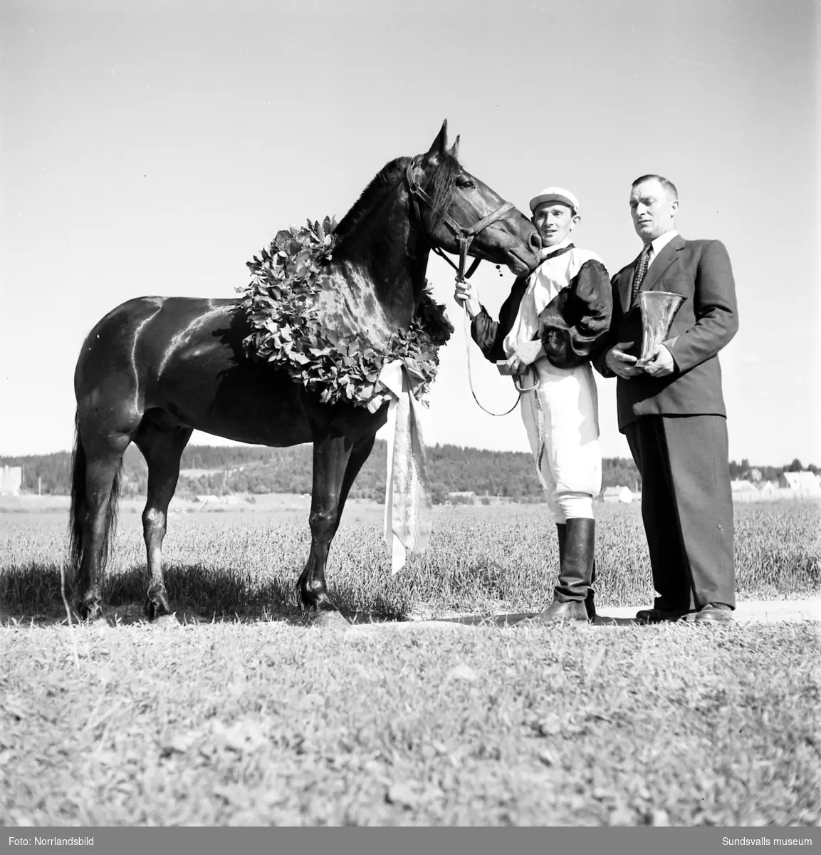 Tävlingar på Bergsåkerstravet 1949 med Nordsvenska Travmästerskapet som vanns av Harry Westergren & Brandver.