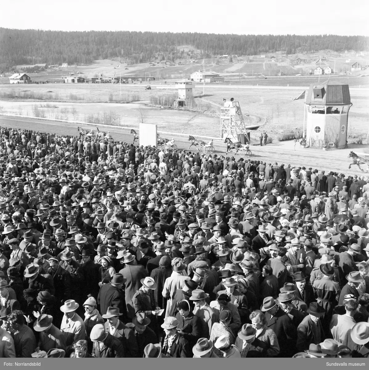 Travtävlingar på Bergsåker 1954 med storpublik.