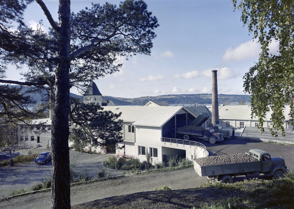 Brumunddal Potetmel- og Sagofabrikk, Brumunddal, Ringsaker.  Fabrikk, fabrikkarbeid, lastebiler med potetlass, levering av poteter.