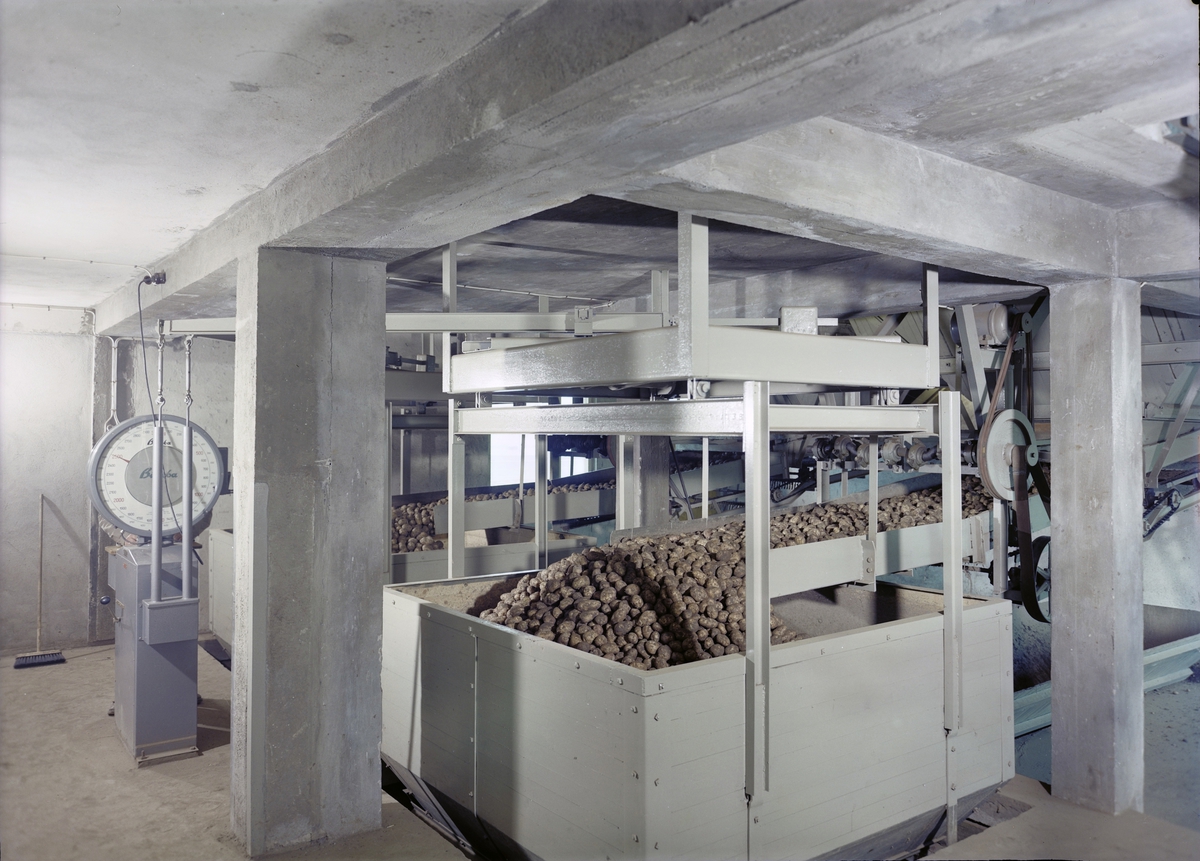 Brumunddal Potetmel- og Sagofabrikk, Brumunddal, Ringsaker.  Fabrikk, fabrikkarbeid.