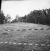 Ödekyrkan. Upprensning av fornminnen. Tävling bland skolbarn 1956-57.  Nössemark