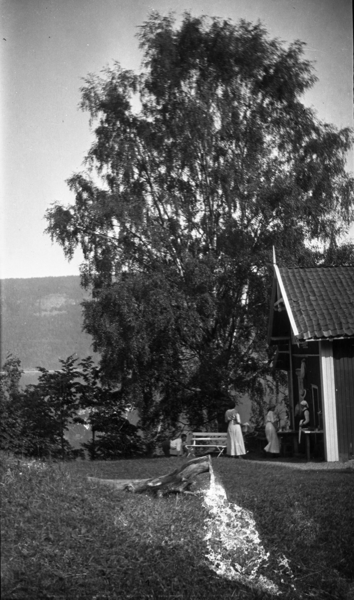 Fotoarkivet etter Gunnar Knudsen. Hus/hytte på fjellet med mennesker i hagen