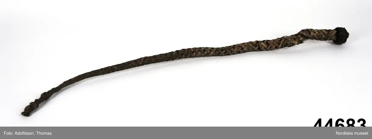 Av en tjurpenis.