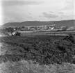 Vy väster om Öxnehaga i Huskvarna år 1962.