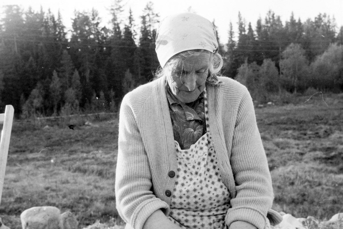 Mina Lunde (1885-1967) i 1965. Hun var gift med Johan Lunde (1891-1962) de drev bureiserbruket Ilstad fra 1954 og bodde der til de døde.
