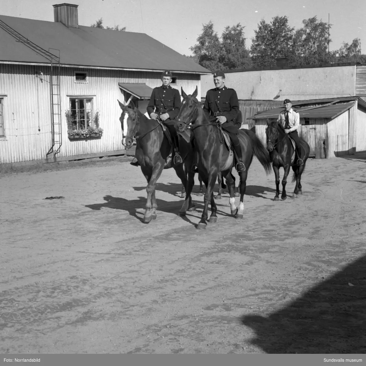 Bilder på Sundsvalls ridande polis och polishästarna, nummer fyra från vänster på första bilden är Ingemar Rindestad och längst till höger Ivan Ramestam. Stallet låg vid Östra Långgatan på tomten där OK numera huserar (2015). Fotograferat för ett reportage i Dagens Nyheter.