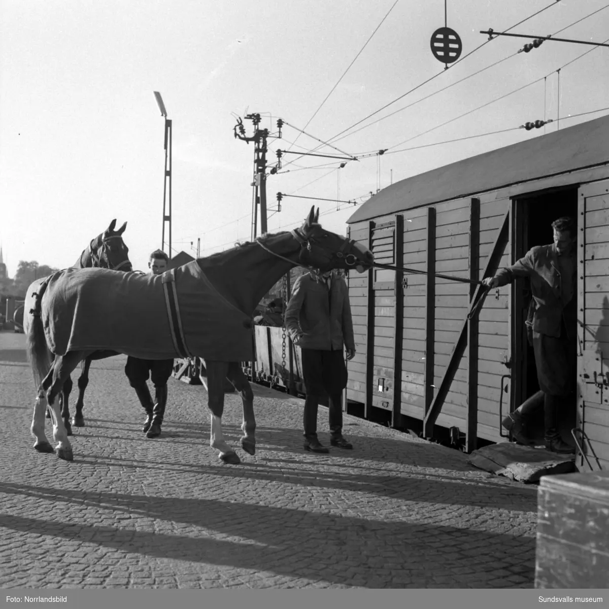 Bilder på Sundsvalls ridande polis och polishästarna, nummer fyra från vänster på första bilden är Ingemar Rindestad och längst till höger Ivan Ramestam. Stallet låg vid Östra Långgatan på tomten där OK numera huserar (2015). Fotograferat för ett reportage i Dagens Nyheter.