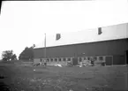 Ladugården vid avsyningen i september 1950. Prästgården  Rommele