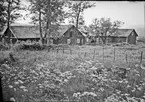 Kristinedal  Fröskog