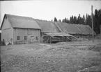 Gunbjörbyn, Råggärd