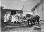 Ladugården med förspända hästar. Stora Mellby