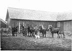 Arvid och Johansson med hästar och drängar  Gestad, Uleberg